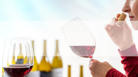 Wine tasting training delivered to your door